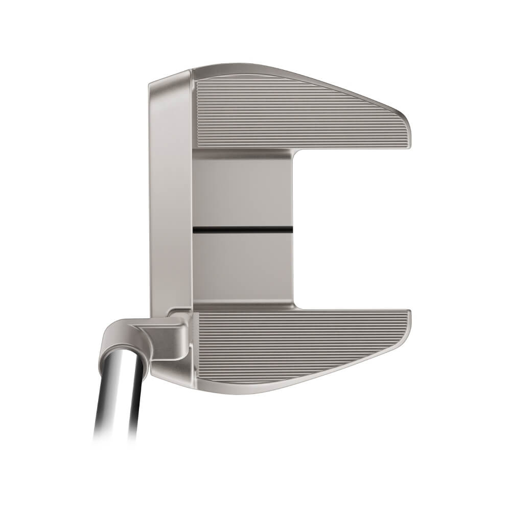 TaylorMade TP Reserve M21 Putter