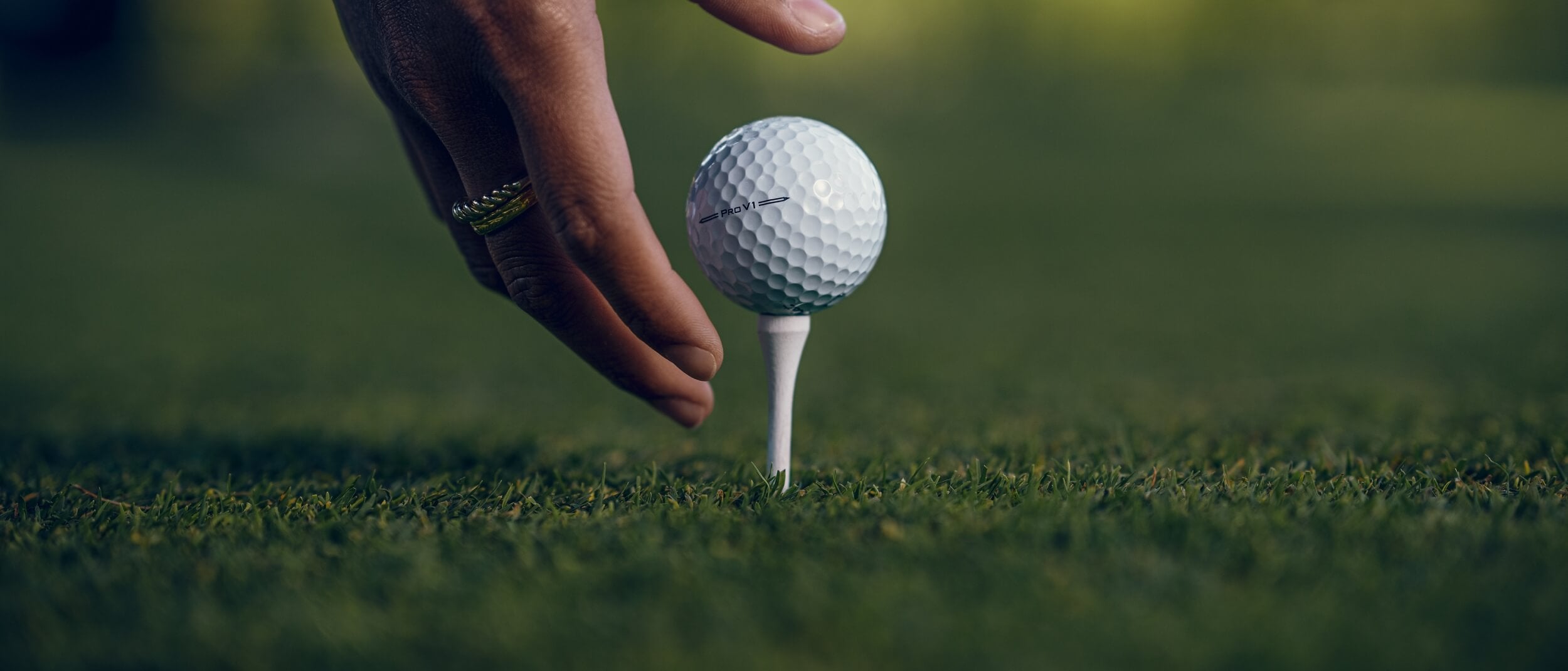 Golfpegger
