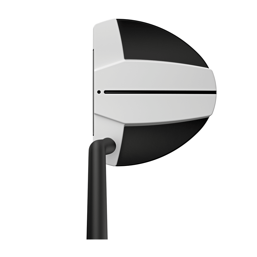 Ping Scottsdale TEC Hayden Putter
