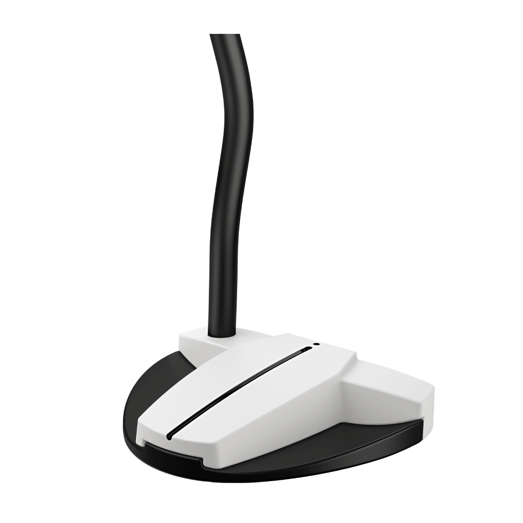 Ping Scottsdale TEC Hayden Putter