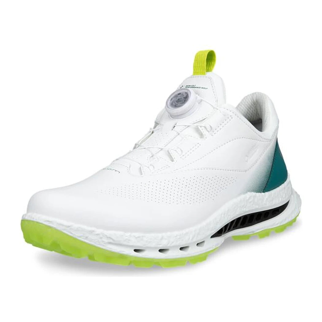 ECCO Golf Biom C5 BOA GTX Herre Hvit/Baygreen