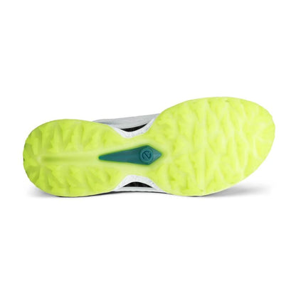 ECCO Golf Biom C5 BOA GTX Herre Hvit/Baygreen